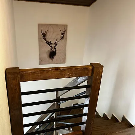 Chalet Viktoria